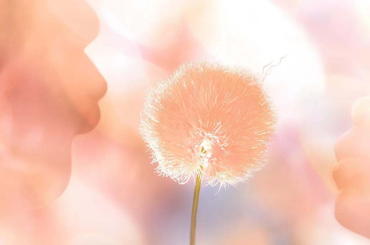 Pantone Peach Fuzz Collection