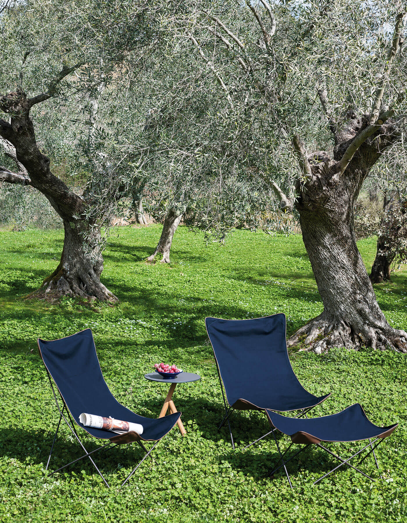 Lawrence armchair - Roda Design